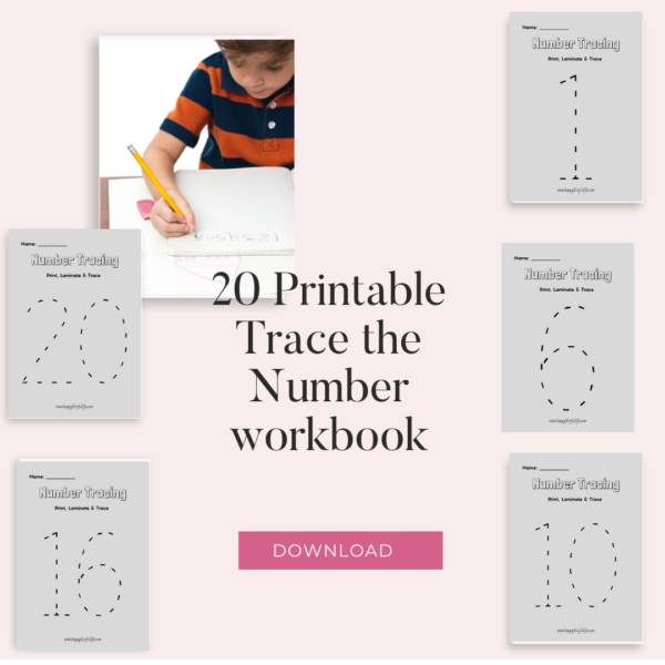 20 Printable Trace the Number workbook