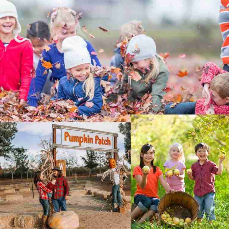 Fall activities for kids